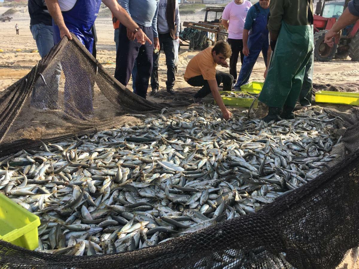 Praia De Mira Ngoại thất bức ảnh